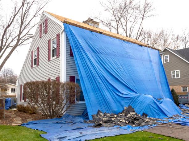Best Custom Siding Design  in Chickasaw, AL