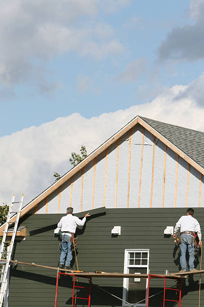 Best Insulated Siding Installation  in Chickasaw, AL